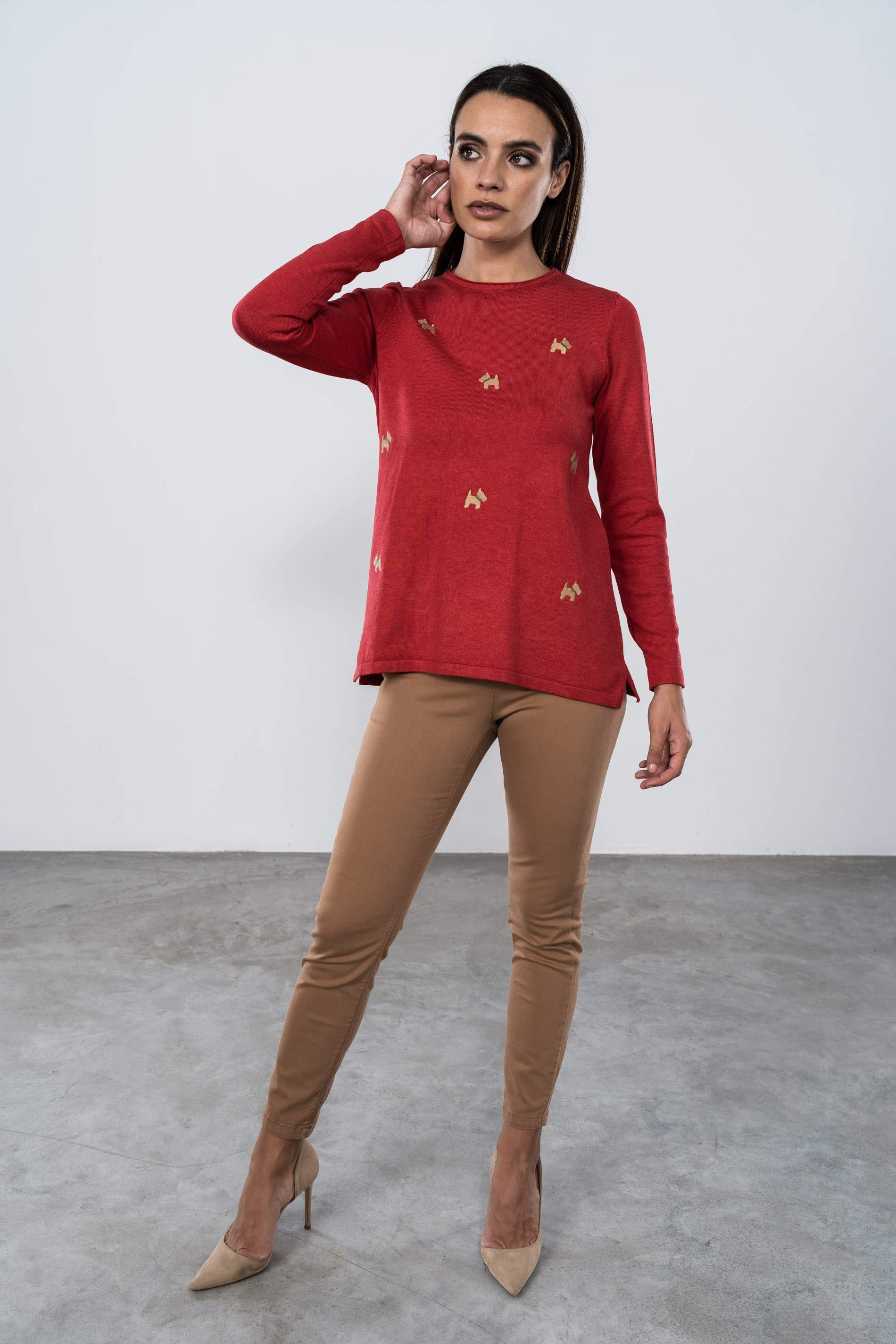 JERSEY BORDADO PERRITO ROJO