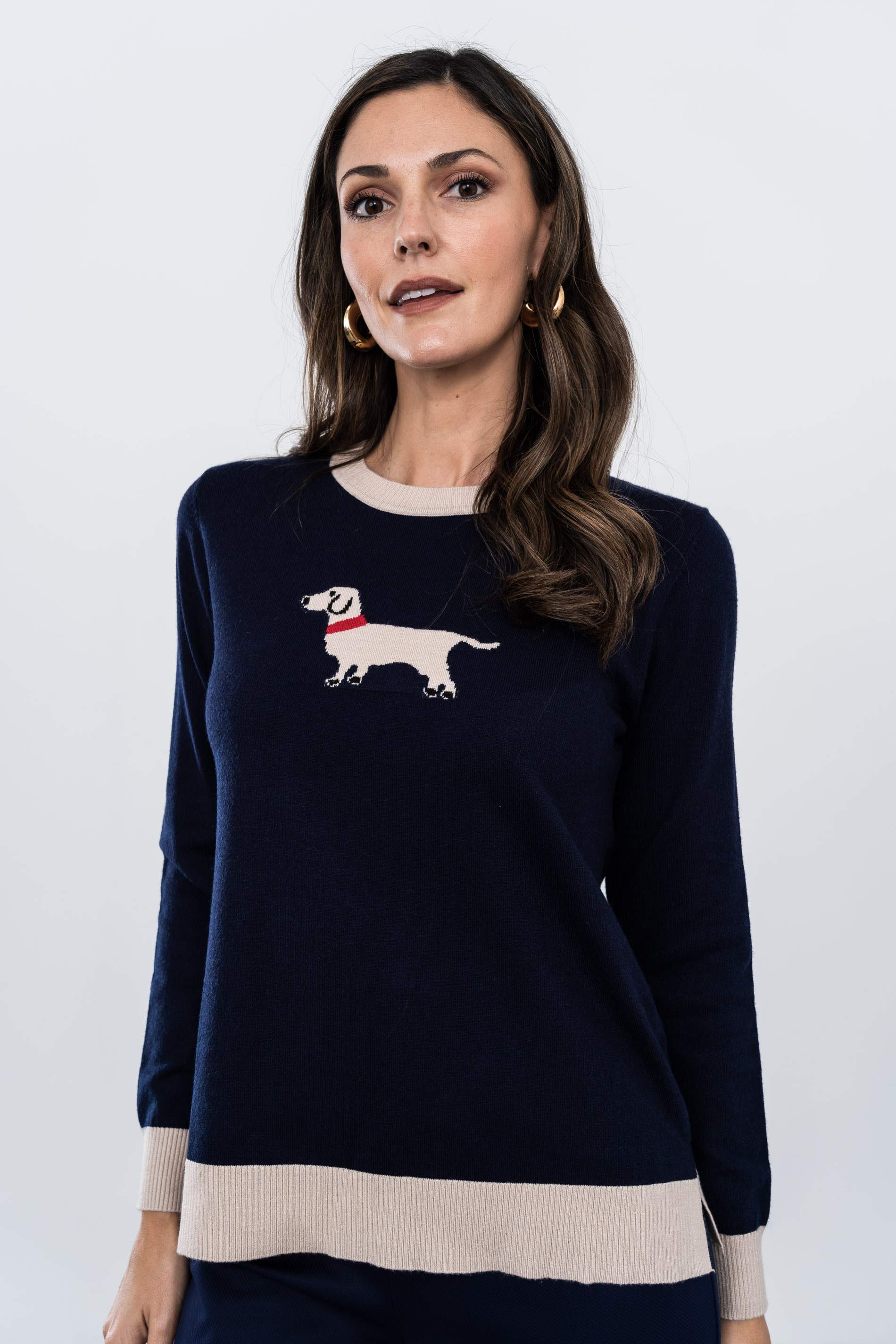 JERSEY DETALLE PERRITO MARINO