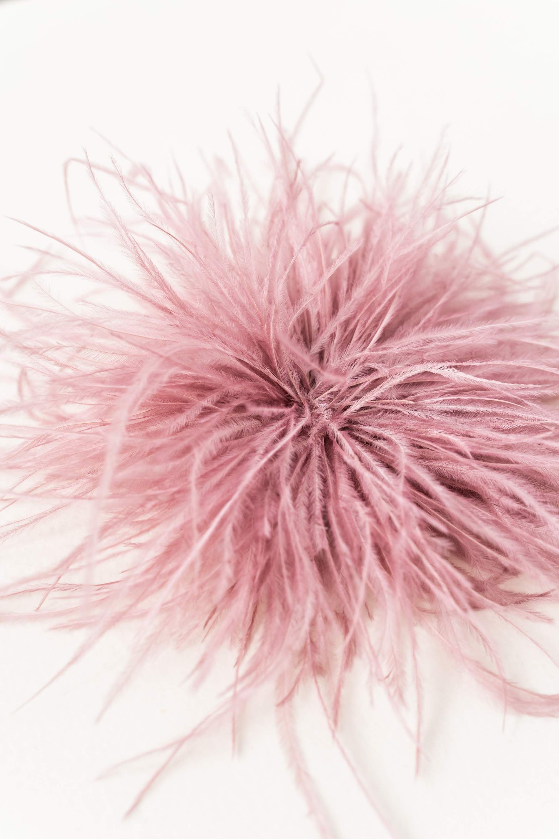 BROCHE PLUMAS ROSA 