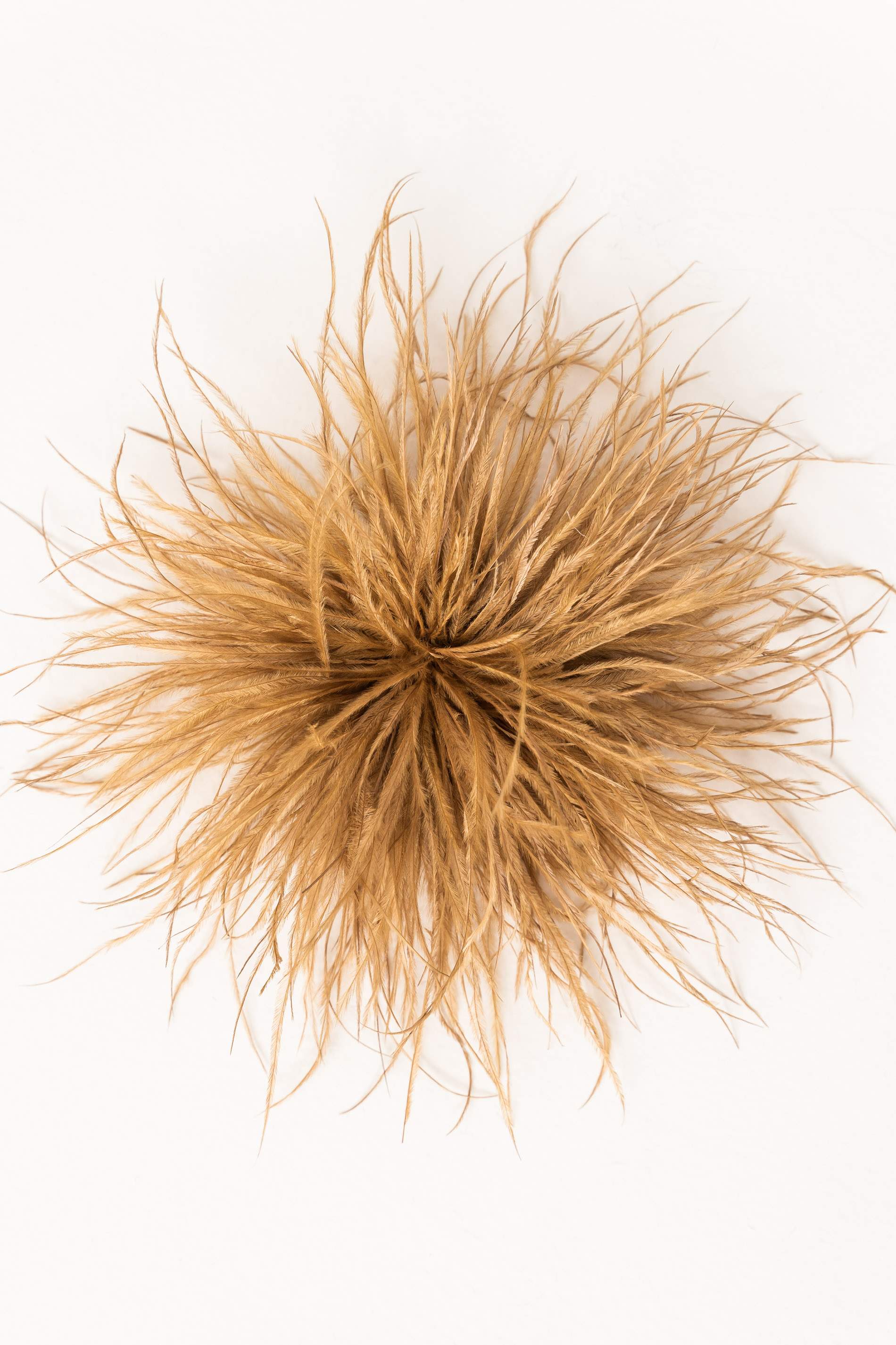 BROCHE PLUMAS CAMEL