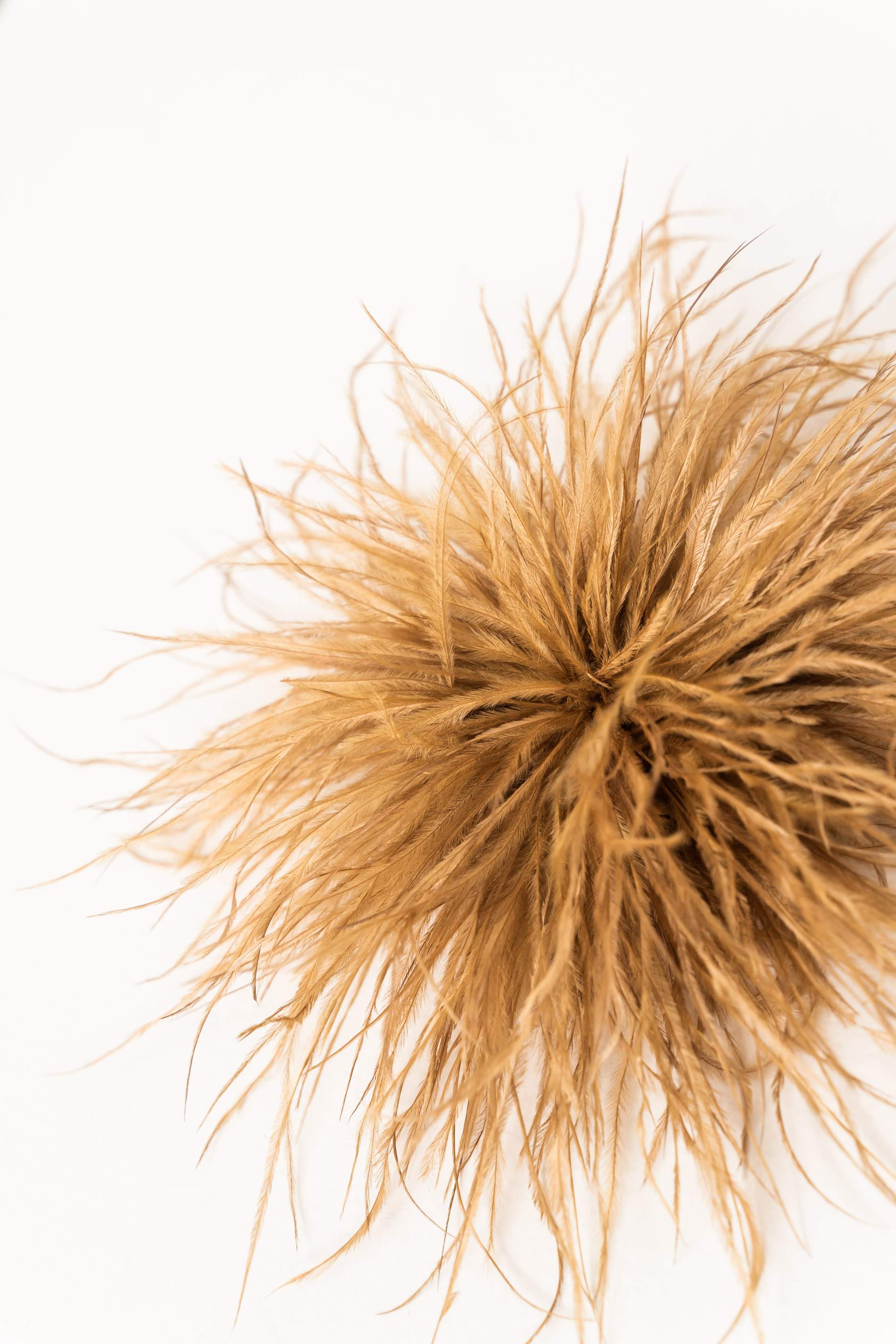 BROCHE PLUMAS CAMEL