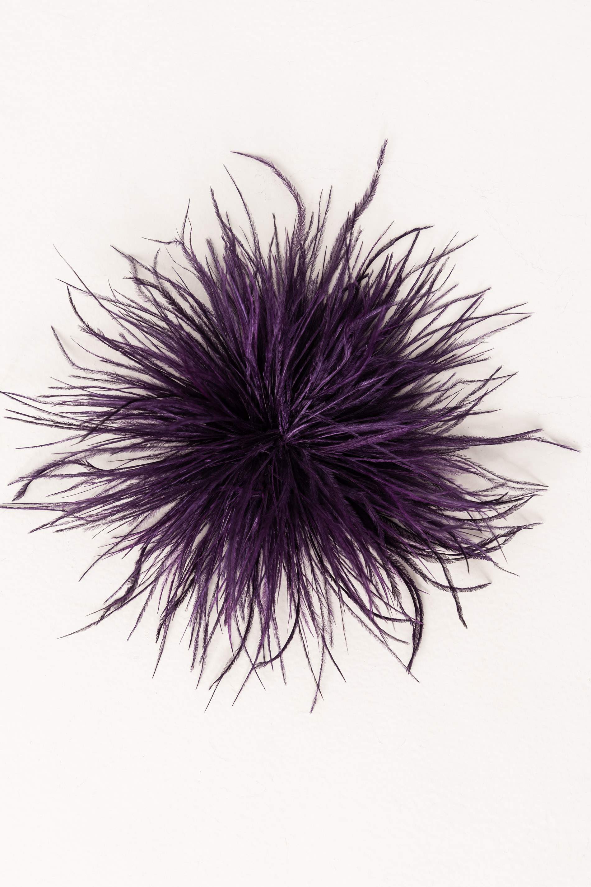 BROCHE PLUMAS MORADO