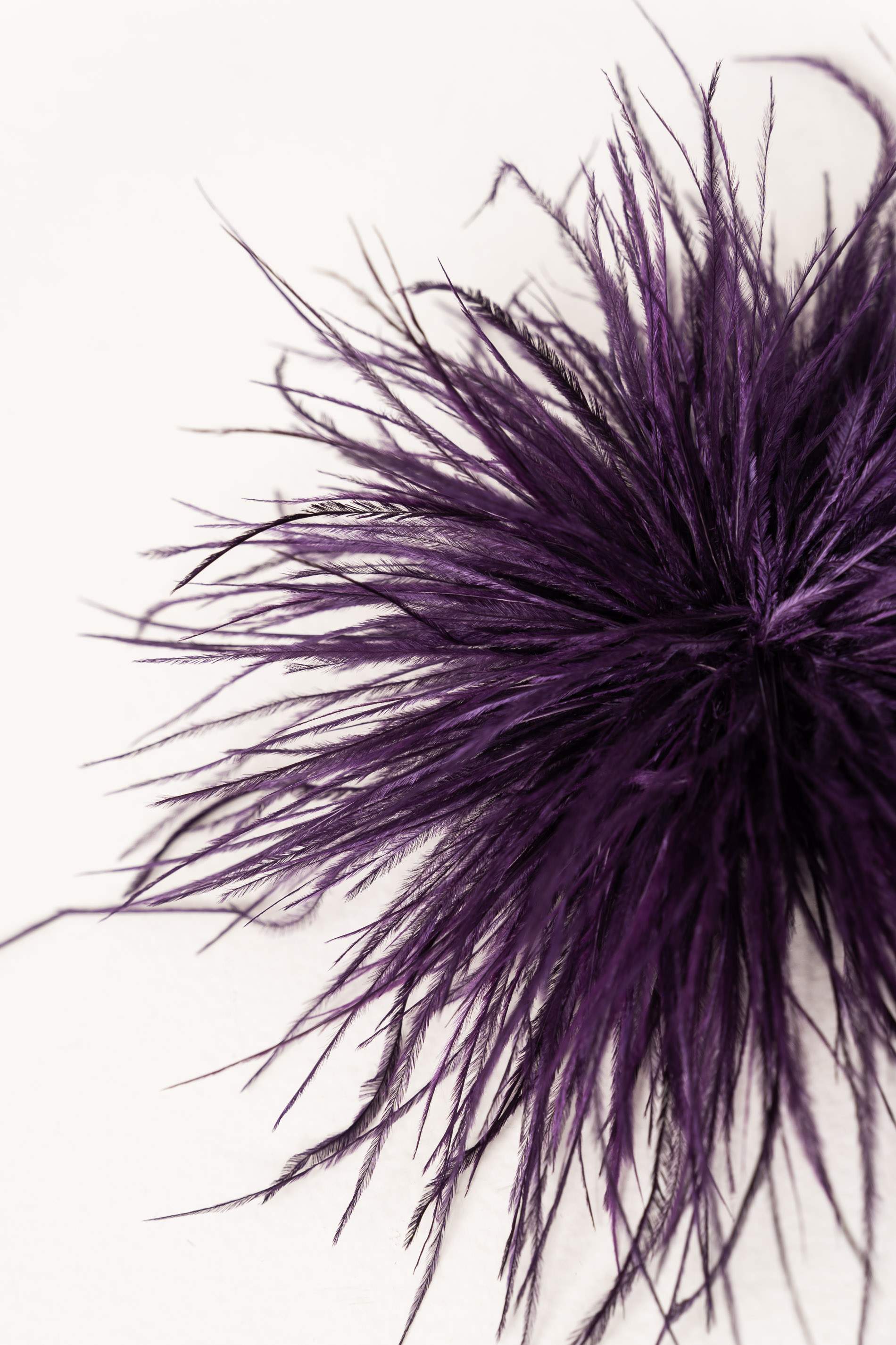 BROCHE PLUMAS MORADO