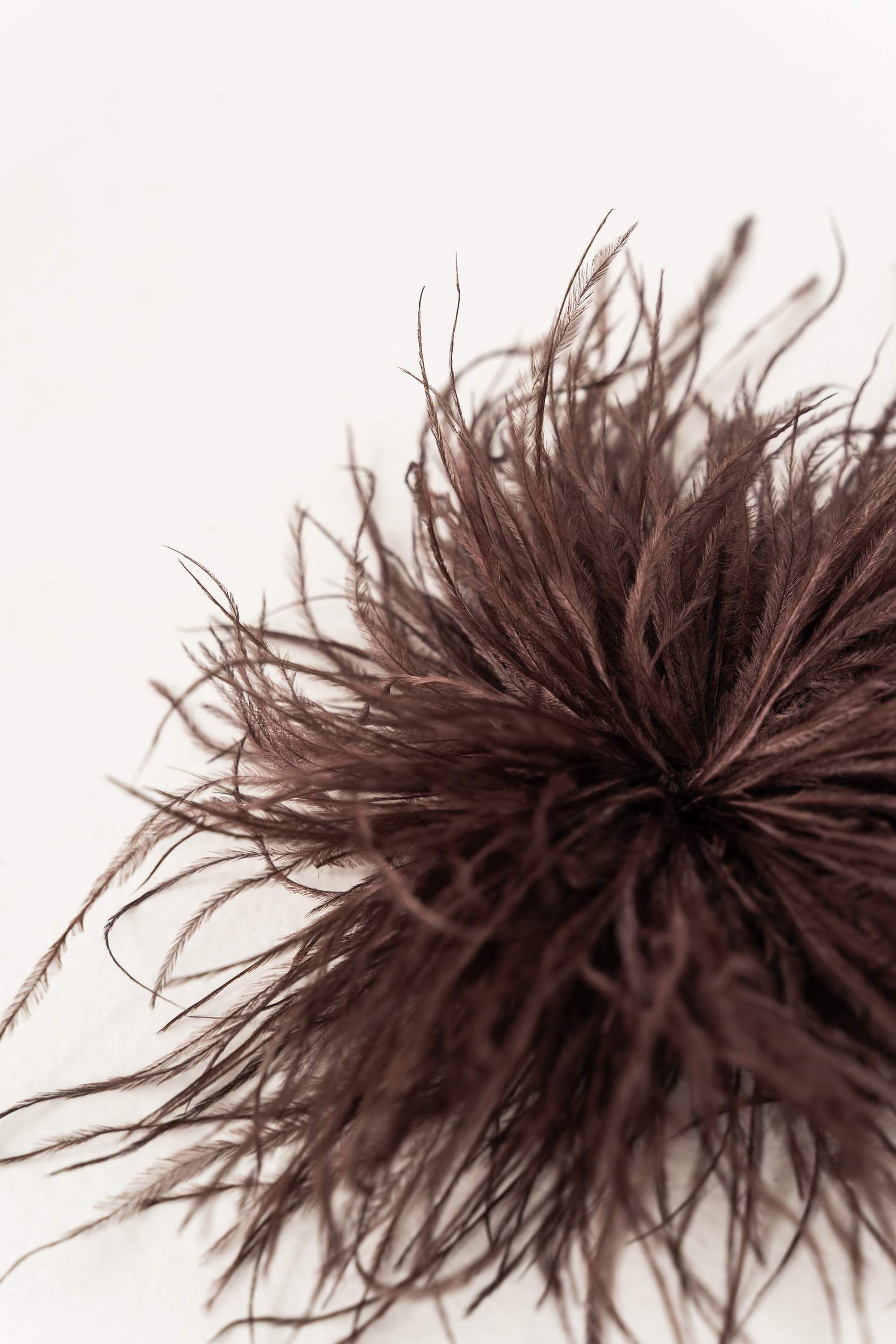 BROCHE PLUMAS CHOCOLATE