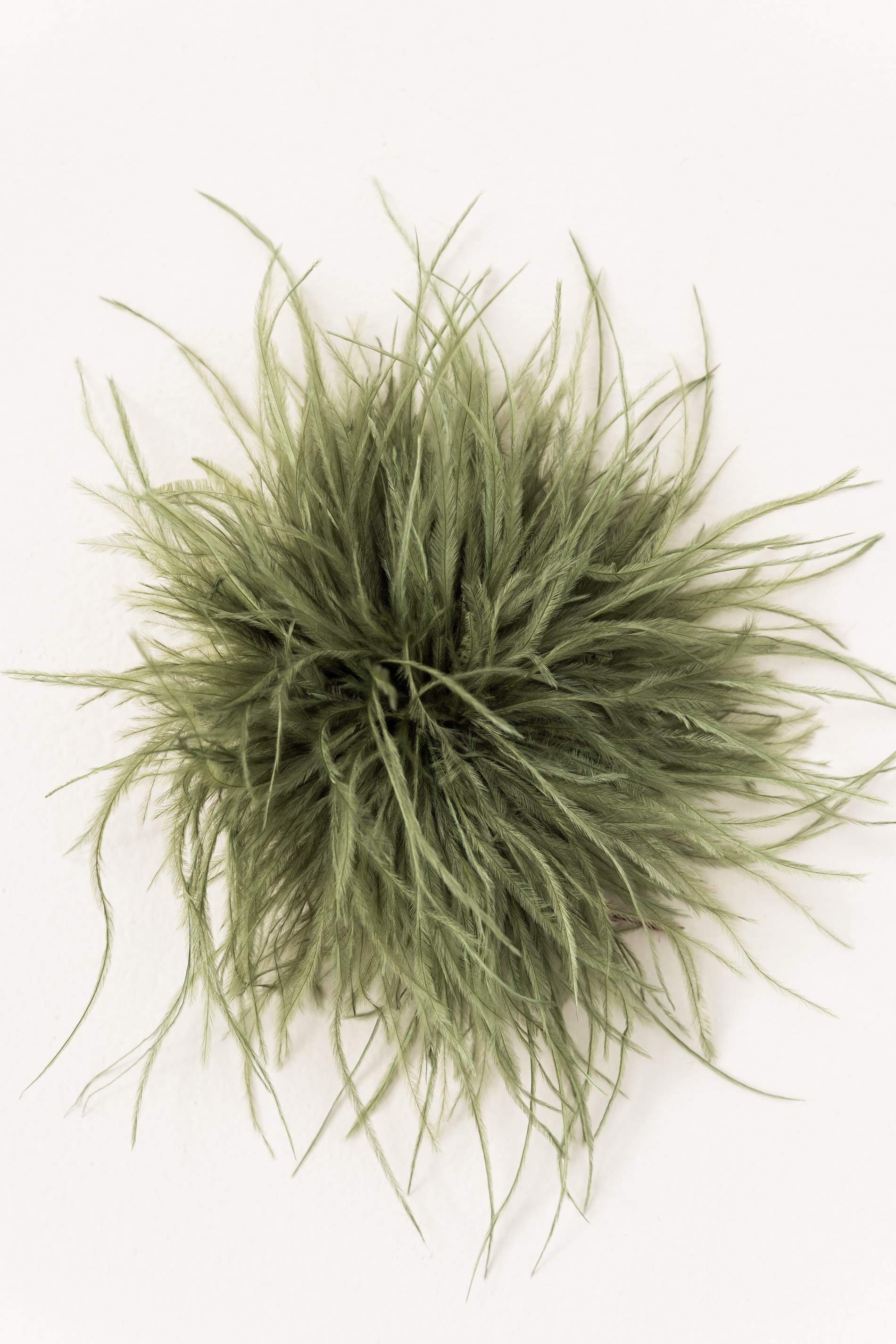 BROCHE PLUMAS VERDE